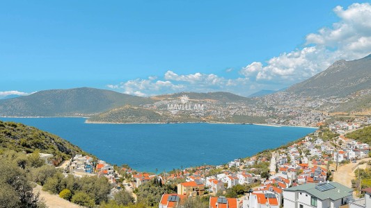 Villa Lotus Kışla